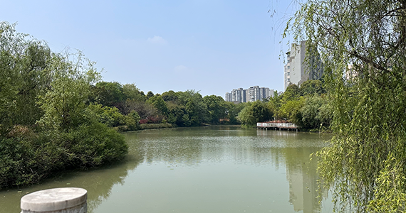 人工(gōng)智能(néng)硬件市場分(fēn)析